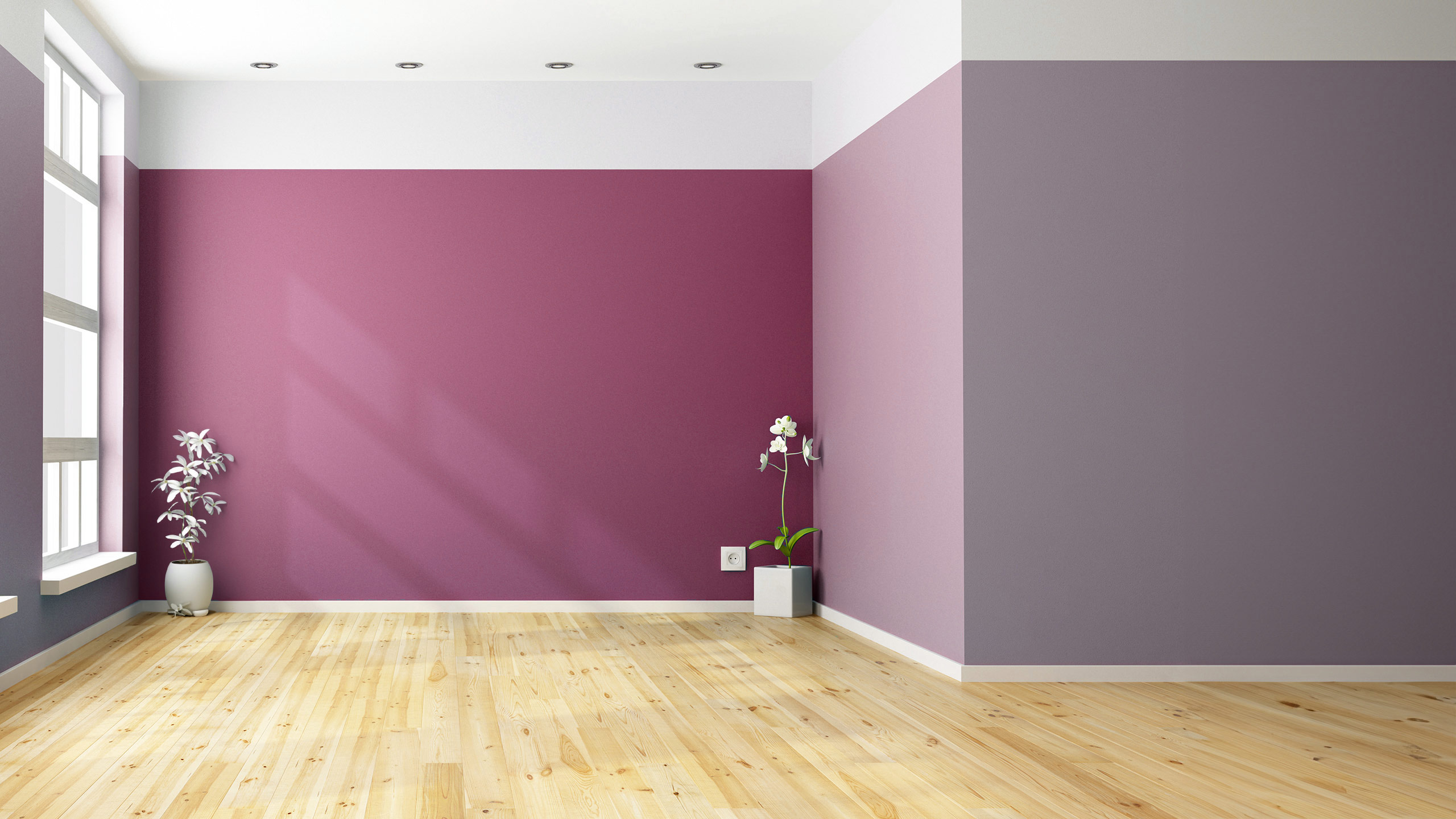 Professional painting transformation